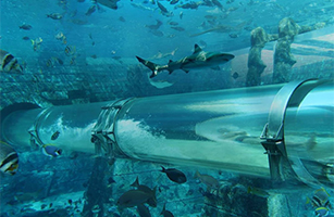 Atlantis the Palm Adventure Waterpark