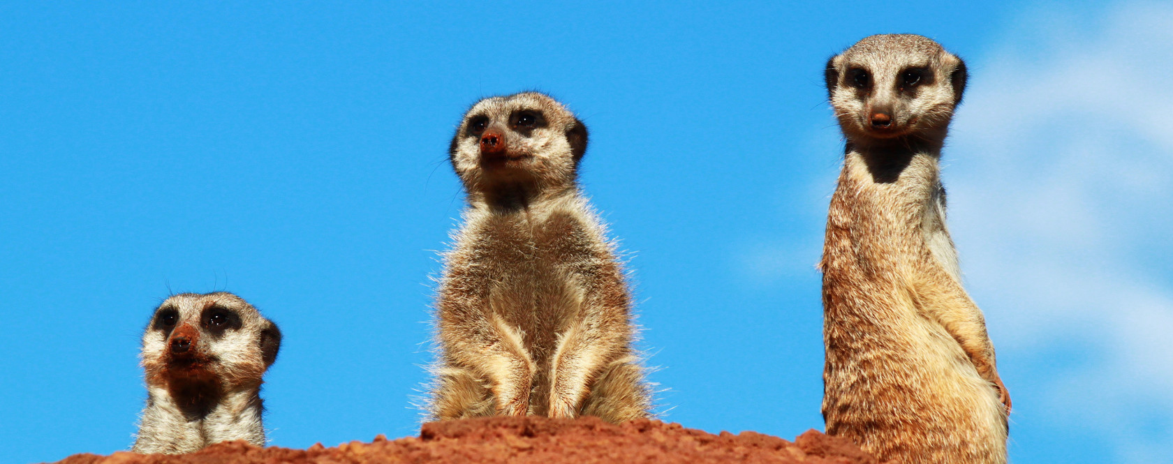 Oasis Park Fuerteventura