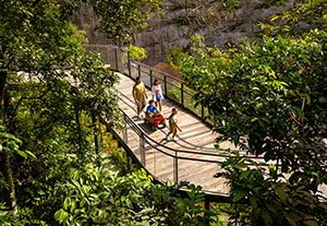 Rainforest Wild Asia Singapore
