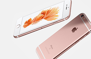 World Privilege Plus