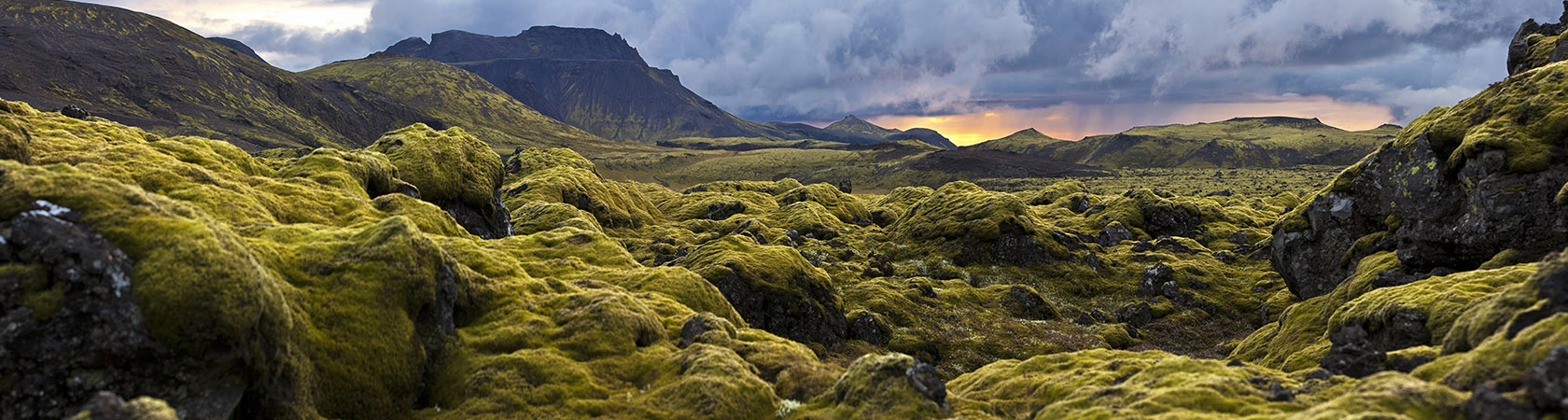 World Privilege Plus