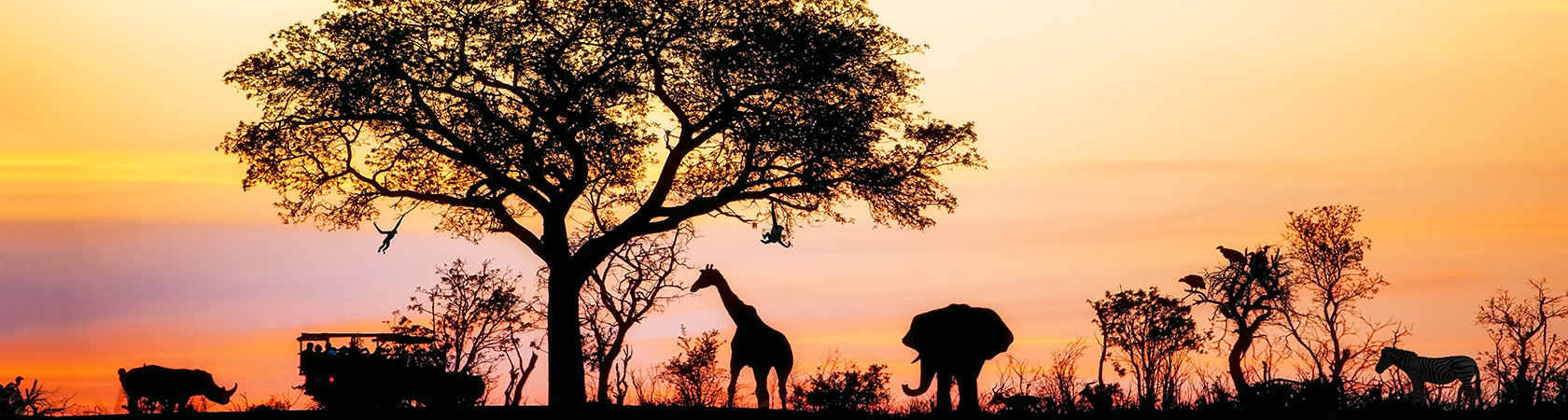 World Privilege Plus