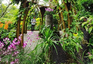 National Orchid Garden Singapore Tickets