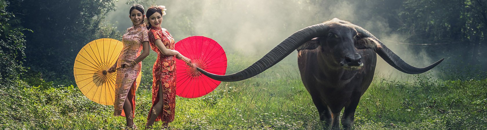 World Privilege Plus