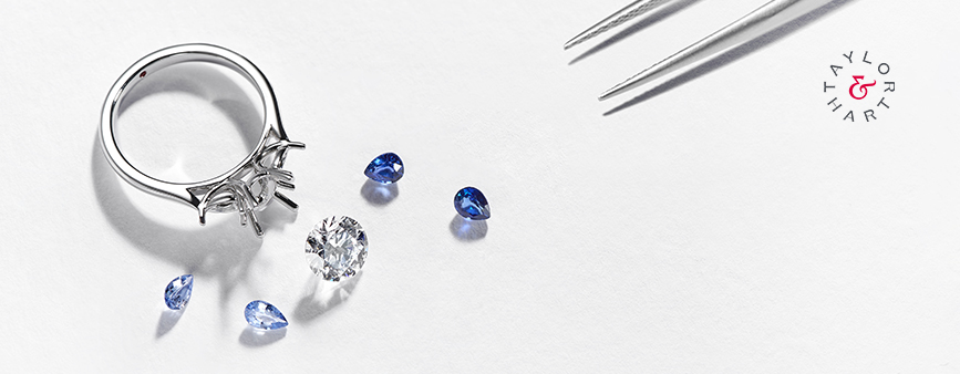 World Privilege Plus