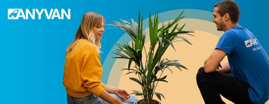 AnyVan