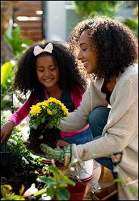 Gardening Direct