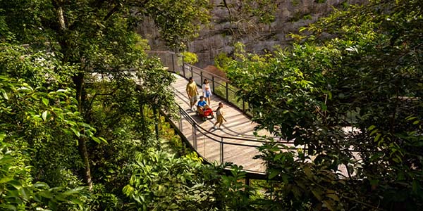 Rainforest Wild Asia Singapore