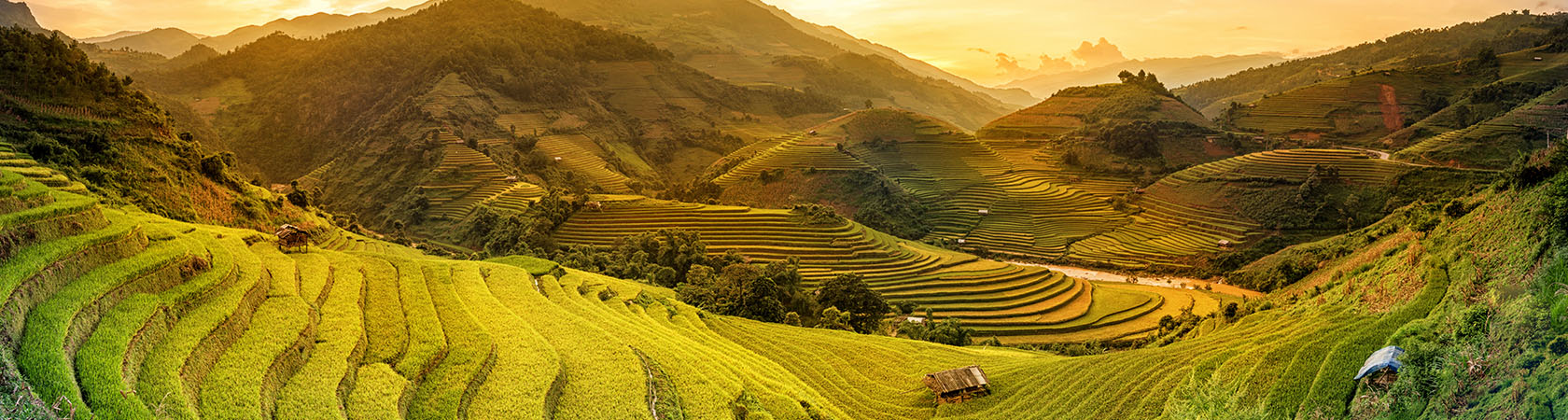 World Privilege Plus