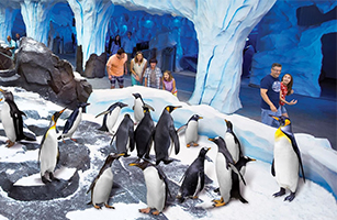 SeaWorld Orlando