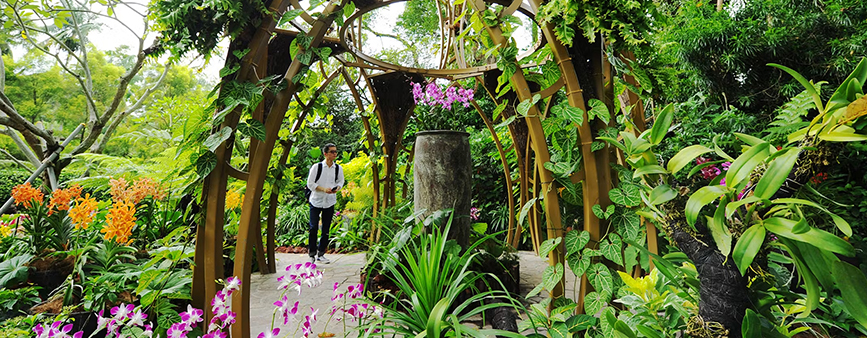 National Orchid Garden Singapore Tickets