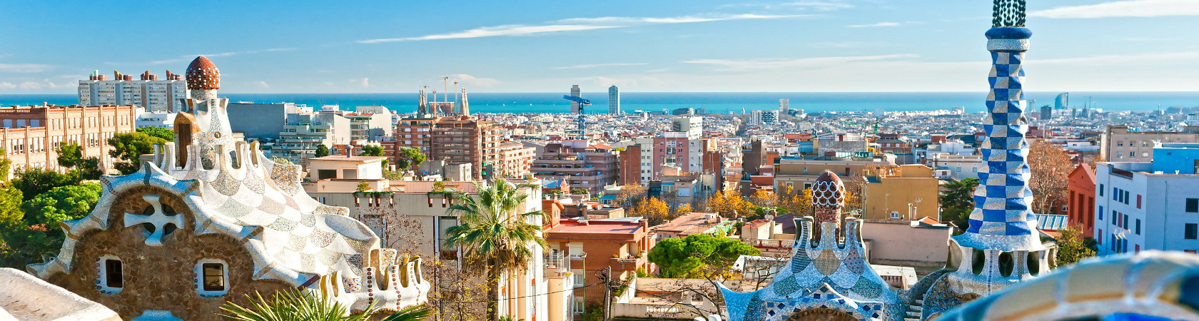 World Privilege Plus