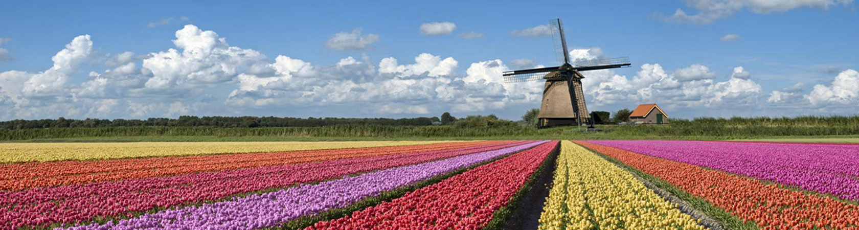 World Privilege Plus