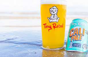 Tiny Rebel